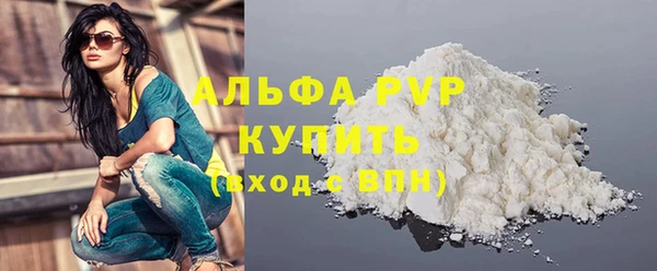 СК Покачи