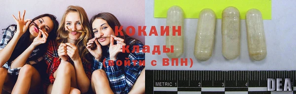 СК Покачи