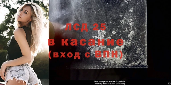 спайс Пересвет
