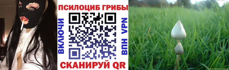 Псилоцибиновые грибы Cubensis  Белогорск 