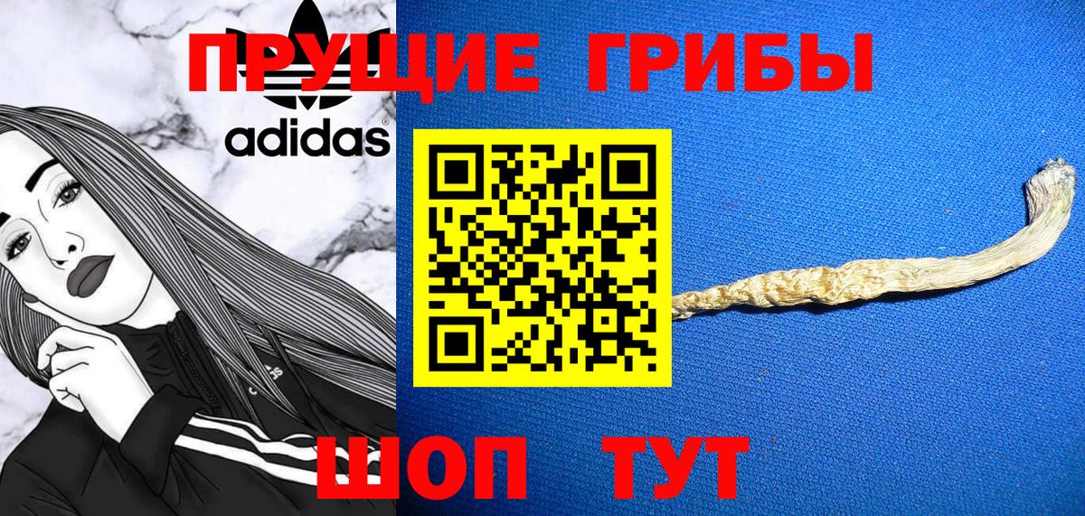 Галлюциногенные грибы MAGIC MUSHROOMS  как найти закладки  Белогорск  Вход с VPN 